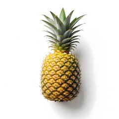 Fototapeta premium Pineapple Illustration Digital Fruit Painting Isolated Background Graphic Vegan Healthy Food Design