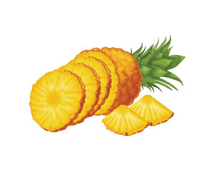 Pineapple. Ripe pineapple in the cut. A piece of juicy pineapple. A ripe tropical fruit. Vector illustration isolated on a white background