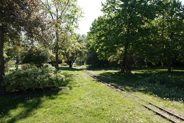 木々を抜ける線路