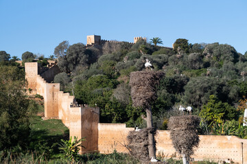 Panoramic view to the fortified medieval necropolis of Chellah, located in Rabat, the capital of...