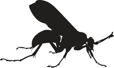 Mosquito Icon on Black and White Vector Backgrounds