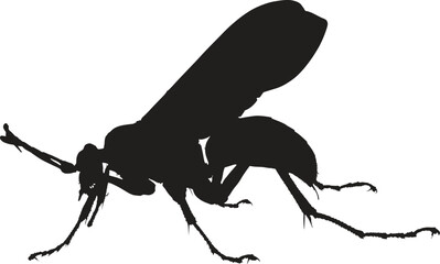Mosquito Icon on Black and White Vector Backgrounds