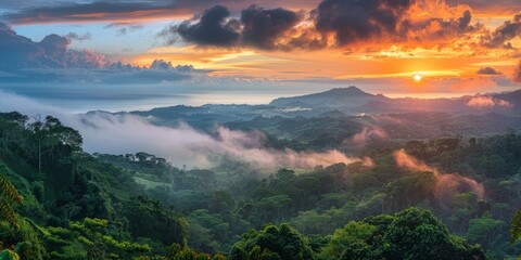 breathtaking view of the lush green rainforest in Costa Rica