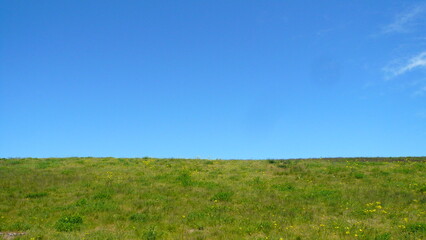 Fototapeta premium grass and sky