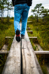 Exploring the Enigmatic Beauty of Viru Bog Trail: A Nature Reserve Adventure in Estonia's Lahemaa...
