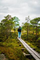 Exploring the Enigmatic Beauty of Viru Bog Trail: A Nature Reserve Adventure in Estonia's Lahemaa National Park