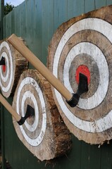 Axes in throwing target