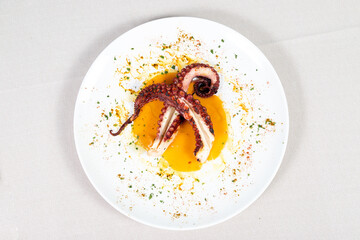 Grilled octopus dish. Elegant dish from a gourmet restaurant