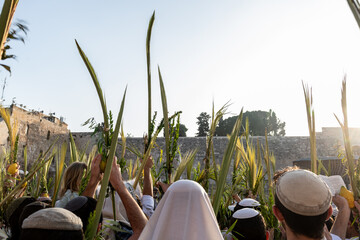 Worshippers at the Western Wall in Jerusalem raise a lulav or closed palm frond while praying on...