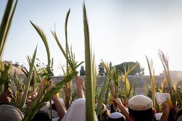 Worshippers at the Western Wall in Jerusalem raise a lulav or closed palm frond while praying on Hoshana Rabbah, the seventh day of the Jewish holiday of Sukkot.