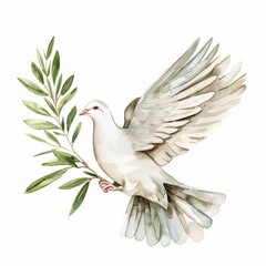 Obraz premium Clipart of a dove carrying an olive branch watercolor