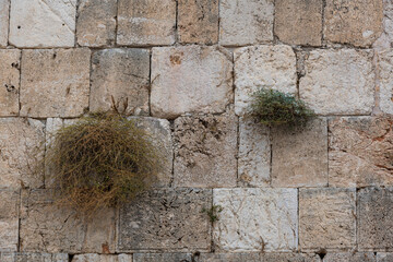 Detail of a section of stones of the Western Wall, one of the holiest sites in Judaism, located in Jerusalem, Israel.