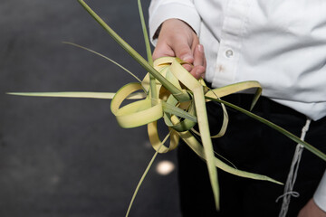 Strands of palm leaves tied into special knots made to bind the lulav or palm frond used in the ritual observance of the Jewish holiday of Sukkot.