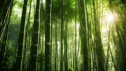 A tranquil bamboo forest, with tall stalks swaying gently in the breeze and shafts of sunlight illuminating the lush green foliage
