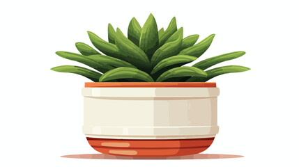 House plant in clay pot. Succulent natural green ho - obrazy, fototapety, plakaty