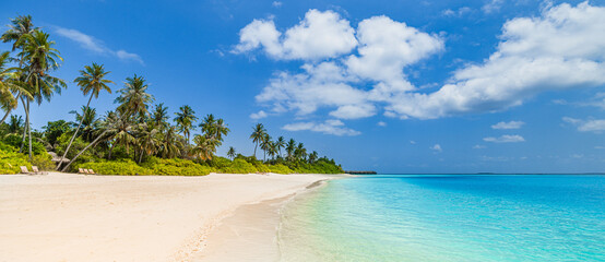 Paradise island beach. Tropical landscape of summer scene, sea waves. Sunny sand sky palm trees....