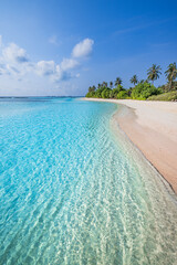 Paradise island beach. Tropical landscape of summer scene, sea waves. Sunny sand sky palm trees....