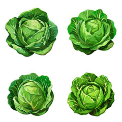 Obraz premium Set of cabbage with big bright green leaves. Fresh and healthy food. Vegetarian nutrition