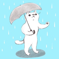 雨の日にお出かけする猫