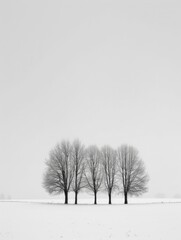 Winter Scape. Vertical View of Trees in White Meadow under Beautiful Winter Sky