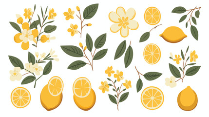 Lemons citrus set. Yellow tropical fruit. Whole hal