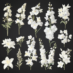 Elegant and Pure: A Vibrant Display of Various White Flower Species for Commercial Use