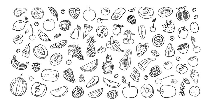 Large of fruits and berries in doodle style. Pineapple, strawberry, papaya, avocado, orange, lemon, banana, apple, pear, watermelon, kiwi, cherry and other. Vector illustration. Hand drawn