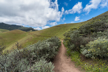 Lomo del Palo landscape with a blue sky. Monte Pavon. Galdar. Gran Canaria. Canary islands