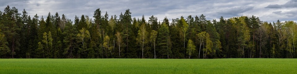 mixed forest behind a green grass field under a cloudy sky. widescreen panoramic photo 20x5 format. side view