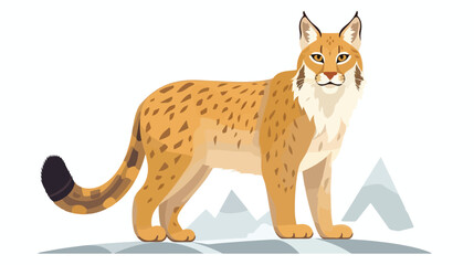 Lynx or bobcat isolated on white background. Portra