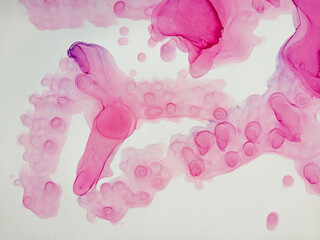 Modern Oil Colored. Abstract Art Paintings.