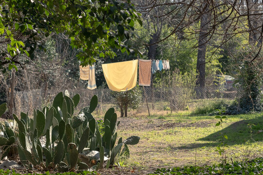 Ropa lavada sec&aacute;ndose al sol
