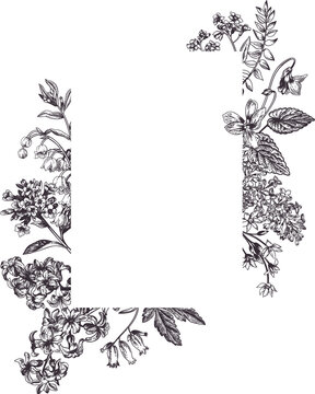 Vintage card with spring and summer garden flowers.  Graphic natural background. Black drawing.