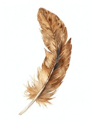 A watercolor artwork depicting an eagle feather, delicately rendered with fine lines and natural brown hues, elegantly isolated against a white background. - obrazy, fototapety, plakaty