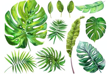 A watercolor illustration of various tropical leaves, including monstera and palm, vibrant and lush, isolated on a white background
