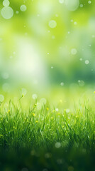 Fototapeta premium Spring green grass background