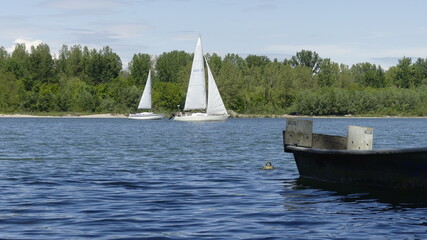 Obraz premium Rheinauen