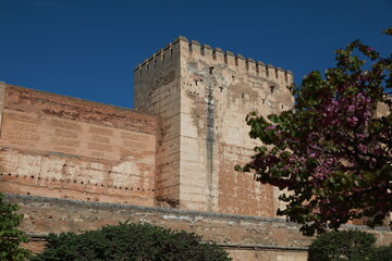 Fototapeta premium alhambra granada, spain