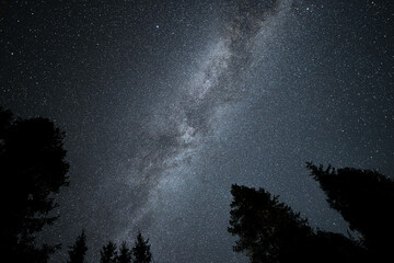 Galaxy Milky Way in the forest
