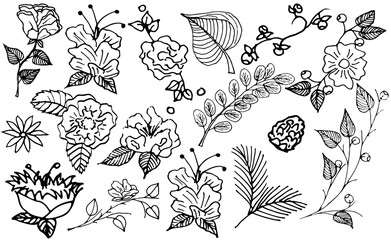 A set of black and white sketches of flowers and various plants, drawn by hand. Vector illustration isolated on white background.