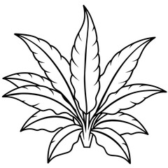 T-shirt Design Vector Black and white flower exotic botanical illustrations - latest vector - premium vector design and illustration