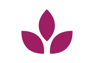 Obraz premium Leaf icon