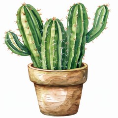 Watercolor Cactus in Pot, Water Color Succulent, Mexican Cacti Drawing, Cute Succulent
