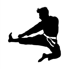 taekwondo kick vector