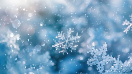 Close up of snowflake on blurred winter background. Seasonal Christmas banner with snow and free place for text