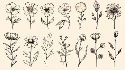 Outlined contoured flowers set vintage botanical dr