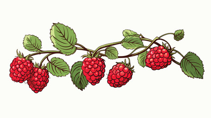 Outlined raspberry branch with berries and leaves.