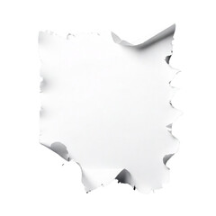 white torn or ripped paper sheet. Scrapbook edge, notebook tear or blank page split on Isolated transparent background png. generated with AI