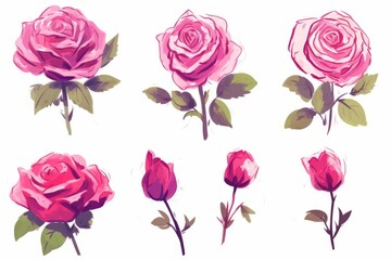 watercolor roses, delicate watercolor roses