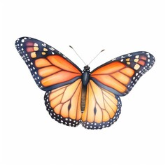 Fototapeta premium monarch butterfly watercolor, vibrant monarch butterfly watercolor